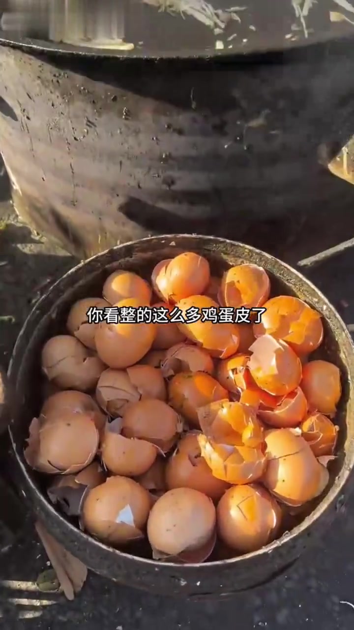 河北特色百年“卷煎饼”，14元吃饱管一天！