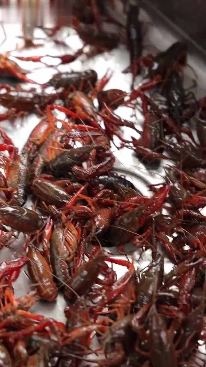 100元在上海菜市场能买多少小龙虾？