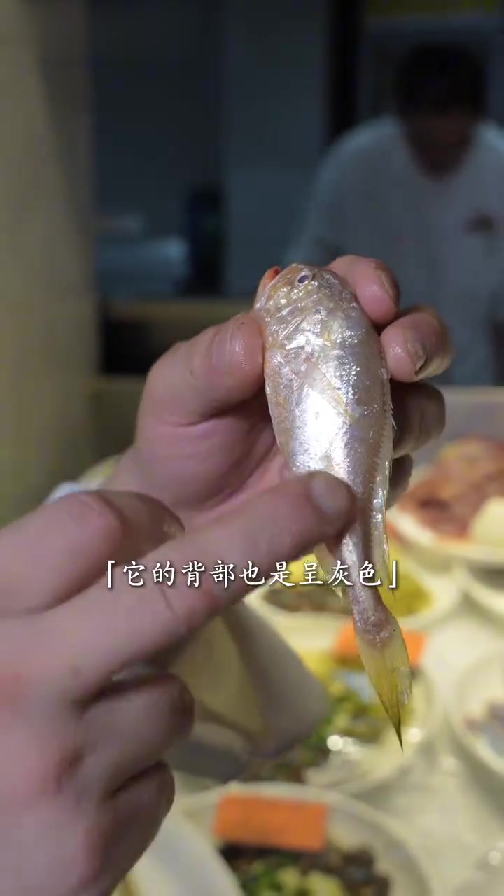 小黄鱼、梅鱼、梅童、大黄鱼，傻傻分不清