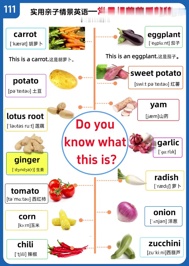 山药，红薯，生姜等的英语怎么说？一起来学习常见根茎茄瓜类蔬菜英语表达