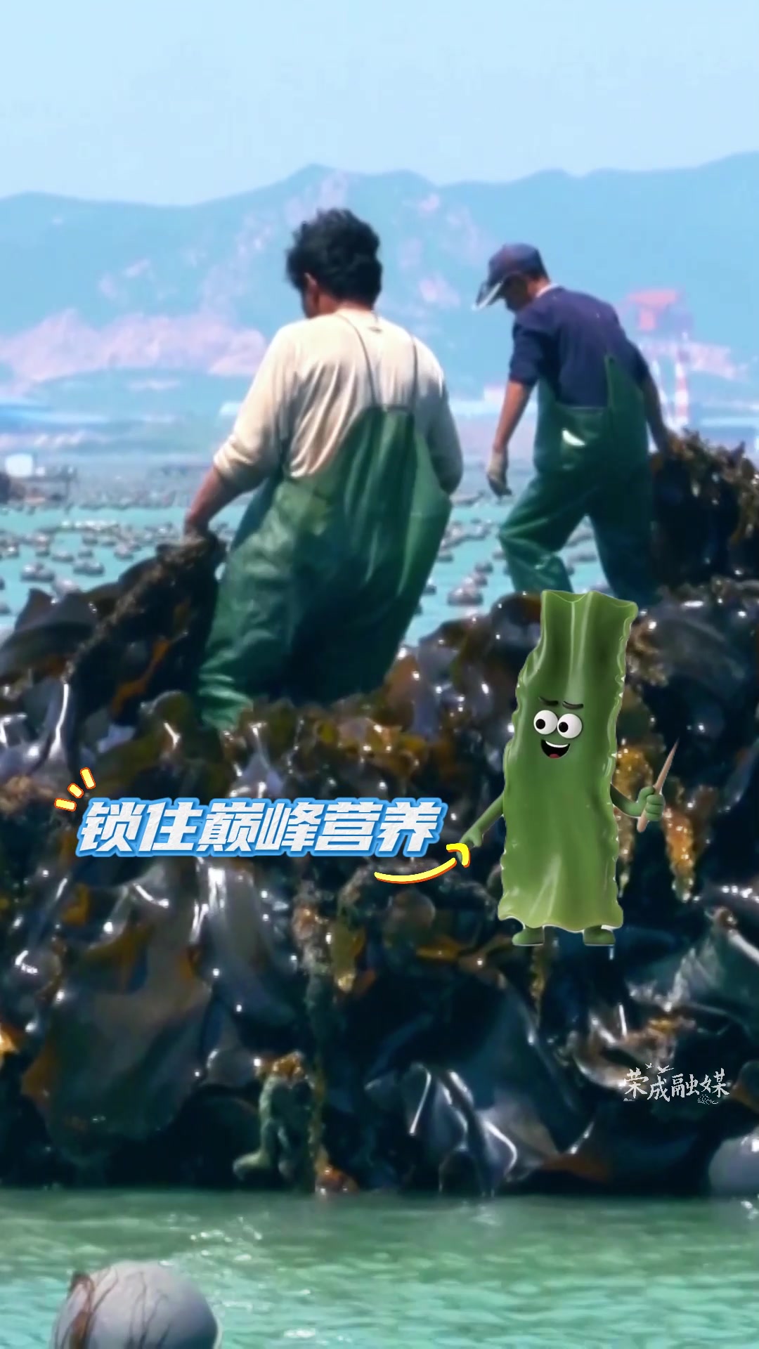 走在前 挑大梁·产业链上的山东好品牌｜“嘿，人类朋友们！我是海芝宝深海小海带，来自大海的馈