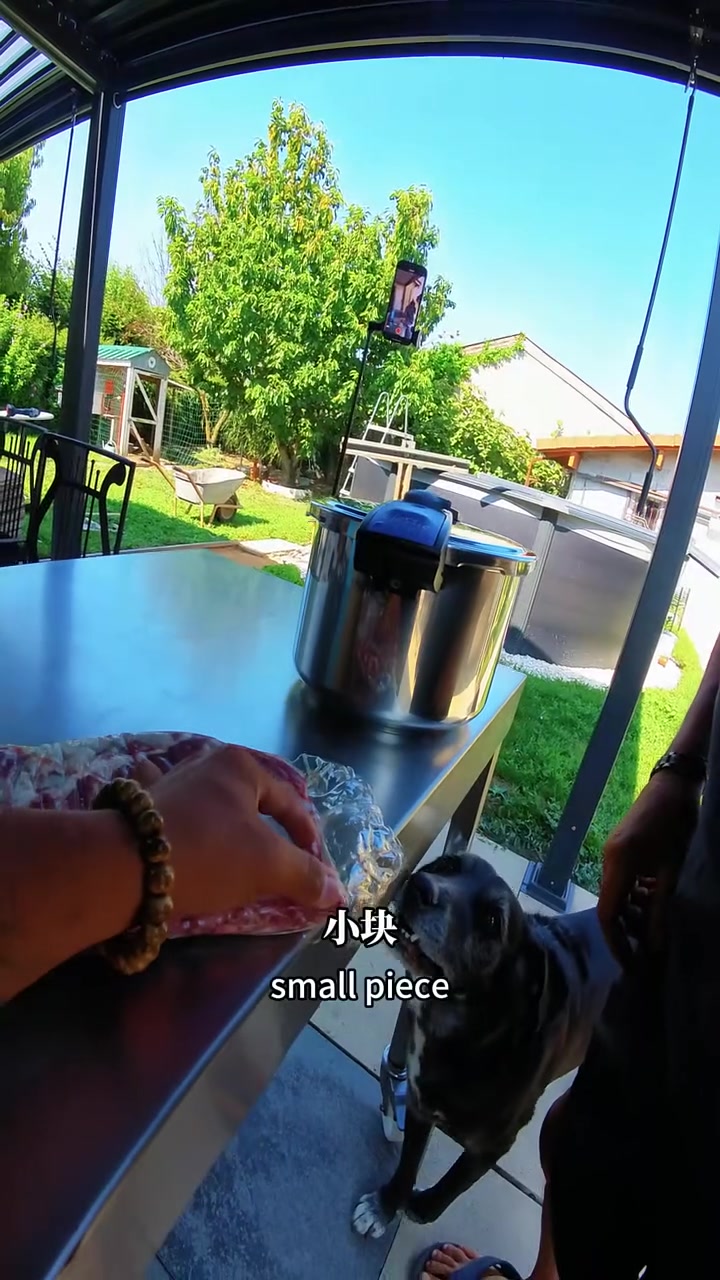 大哥大姐的盛情邀约，我决定回馈一顿中国美食感谢他们！郭少宇 郭少宇环球故事 法国