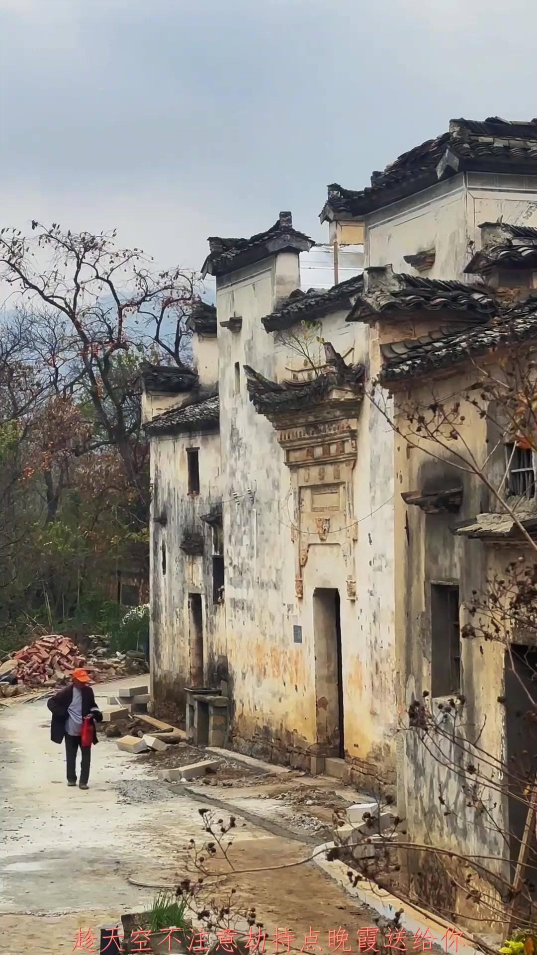 秋季旅行,徽派建筑真的就是行走的水墨画,塔川的柿子已经红了旅
