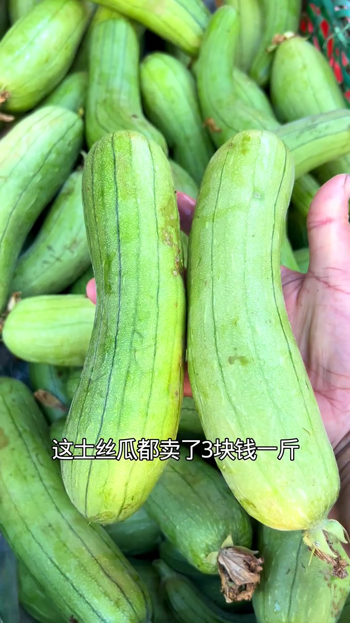 老乡们！带你们逛菜市场呀！看一下8月份的菜场卖了哪些时令蔬菜