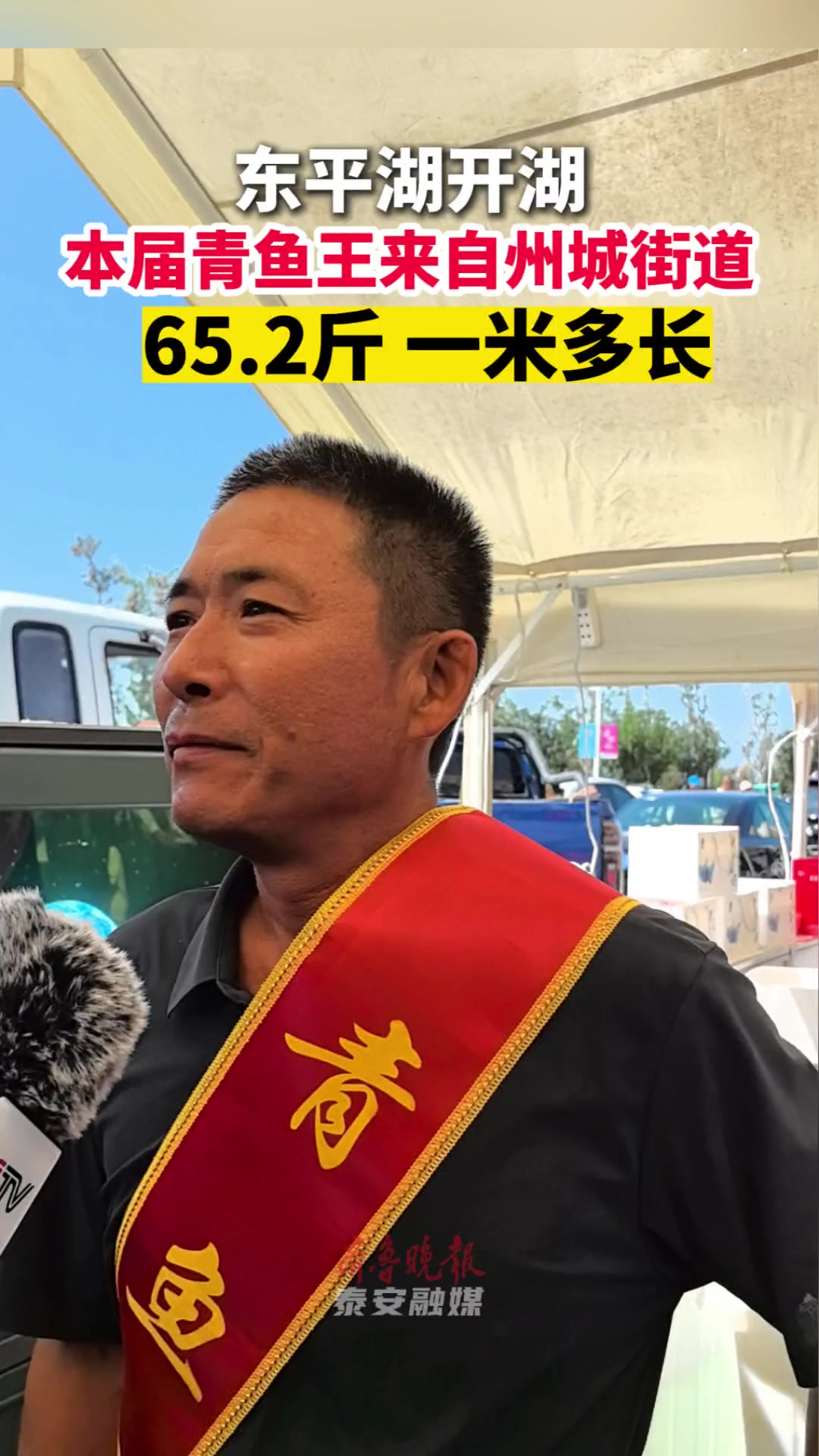 果然视频｜东平湖开湖，本届青鱼王65.2斤，1米多长