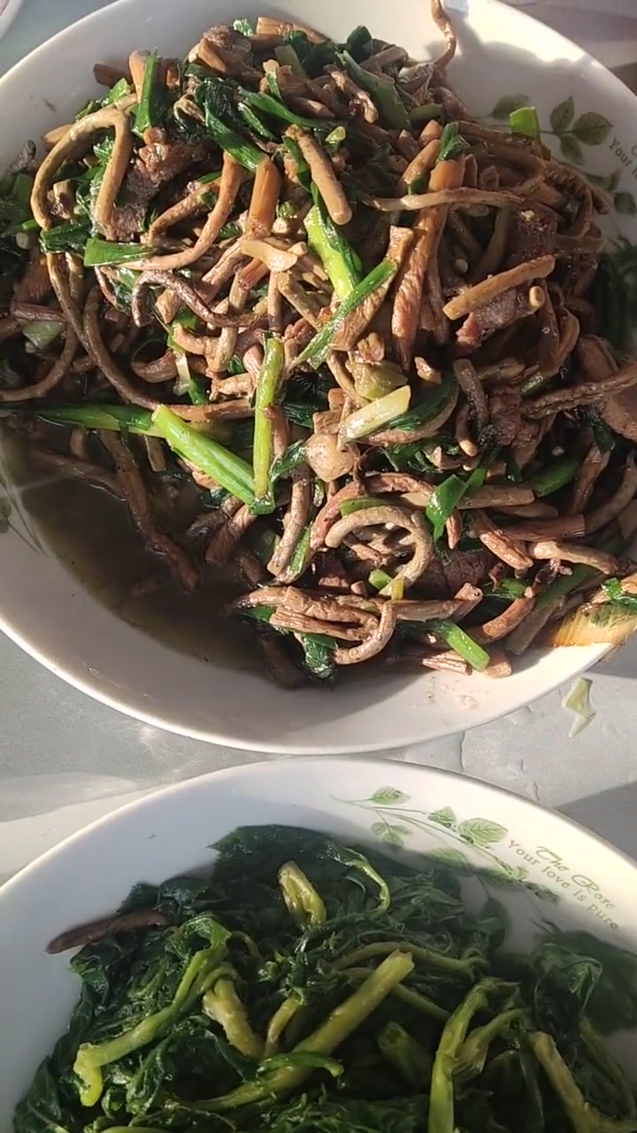 刺嫩芽,刺果棒,大叶琴,水撅菜,牛毛广杀猪菜