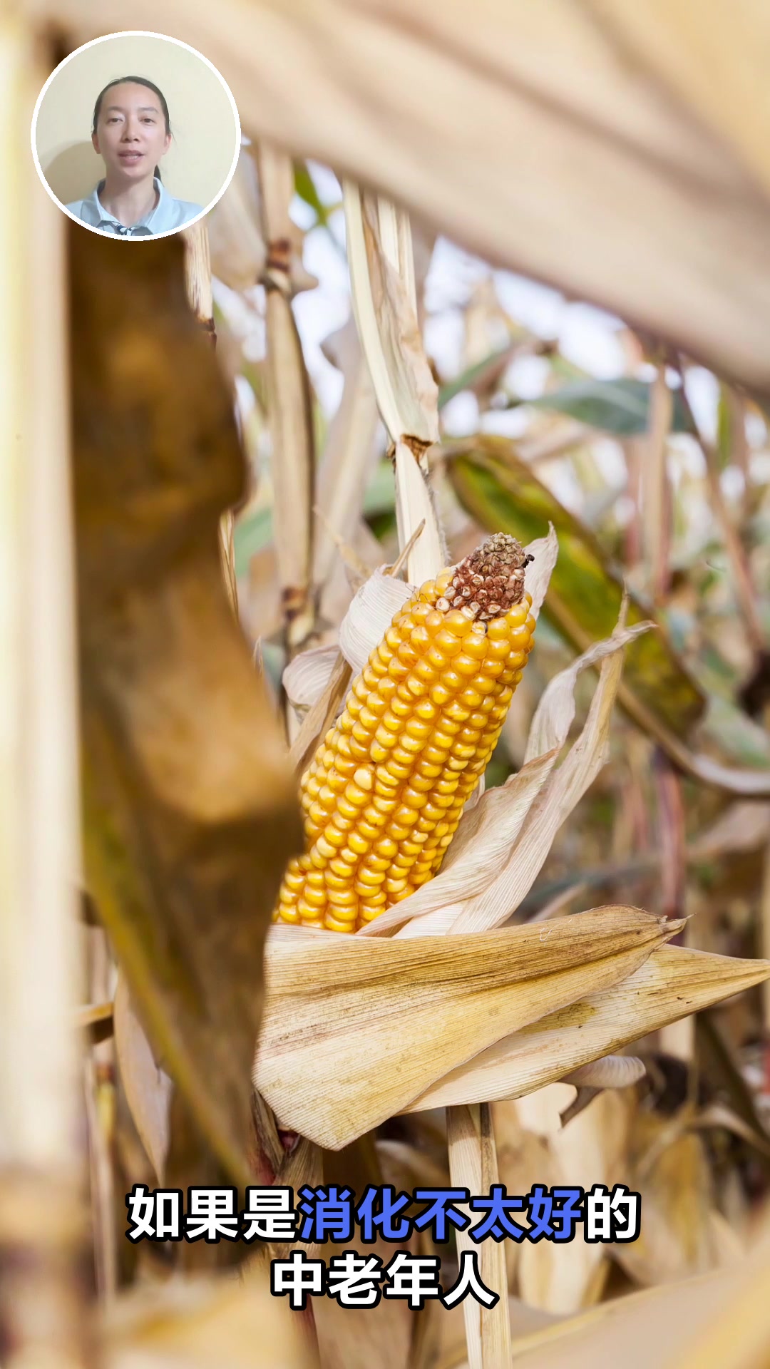 早餐吃玉米和鸡蛋的三大好处