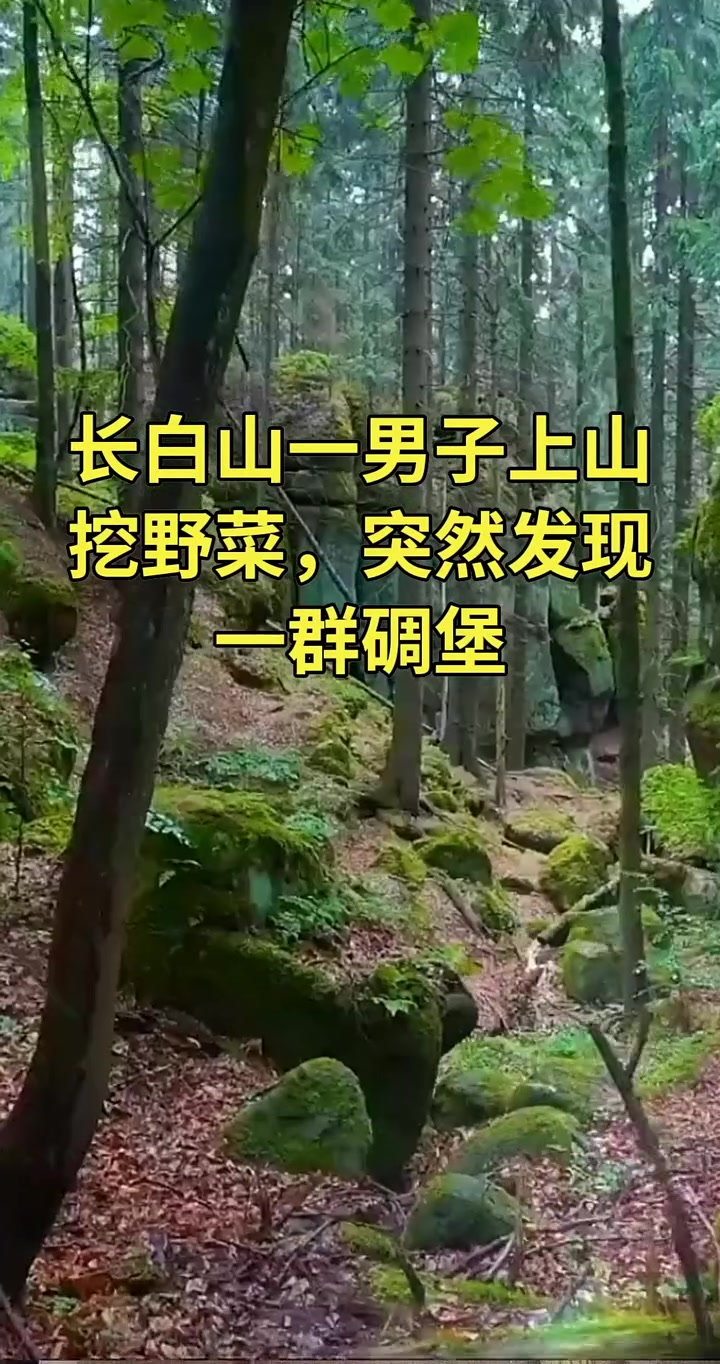 长白山有个男子上山挖野菜