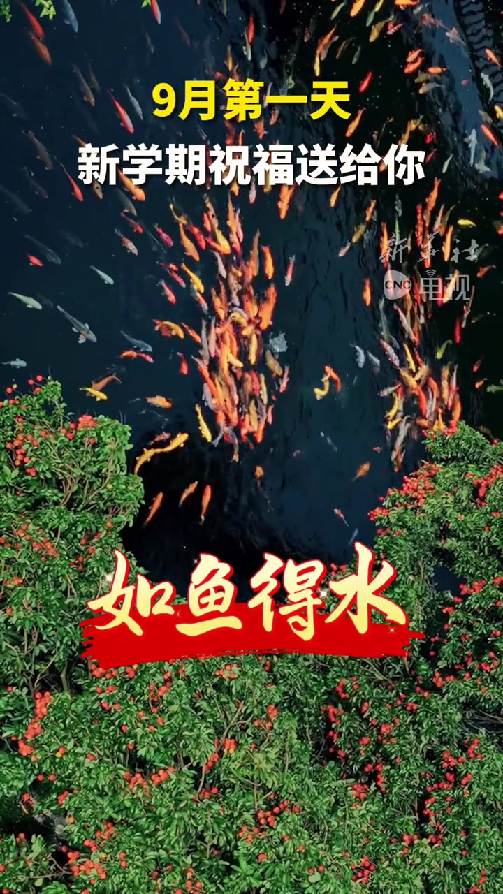 9月第一天,新学期第一条祝福送给你!愿你好运连连、勇攀高峰、如鱼得水、乘风破浪、逢考必过!