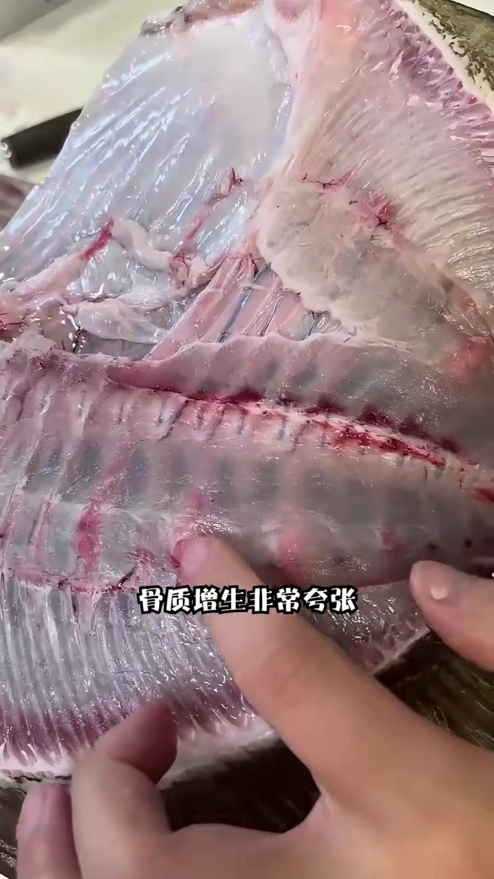 诶！是不是去水族馆的车发来鱼市场了？