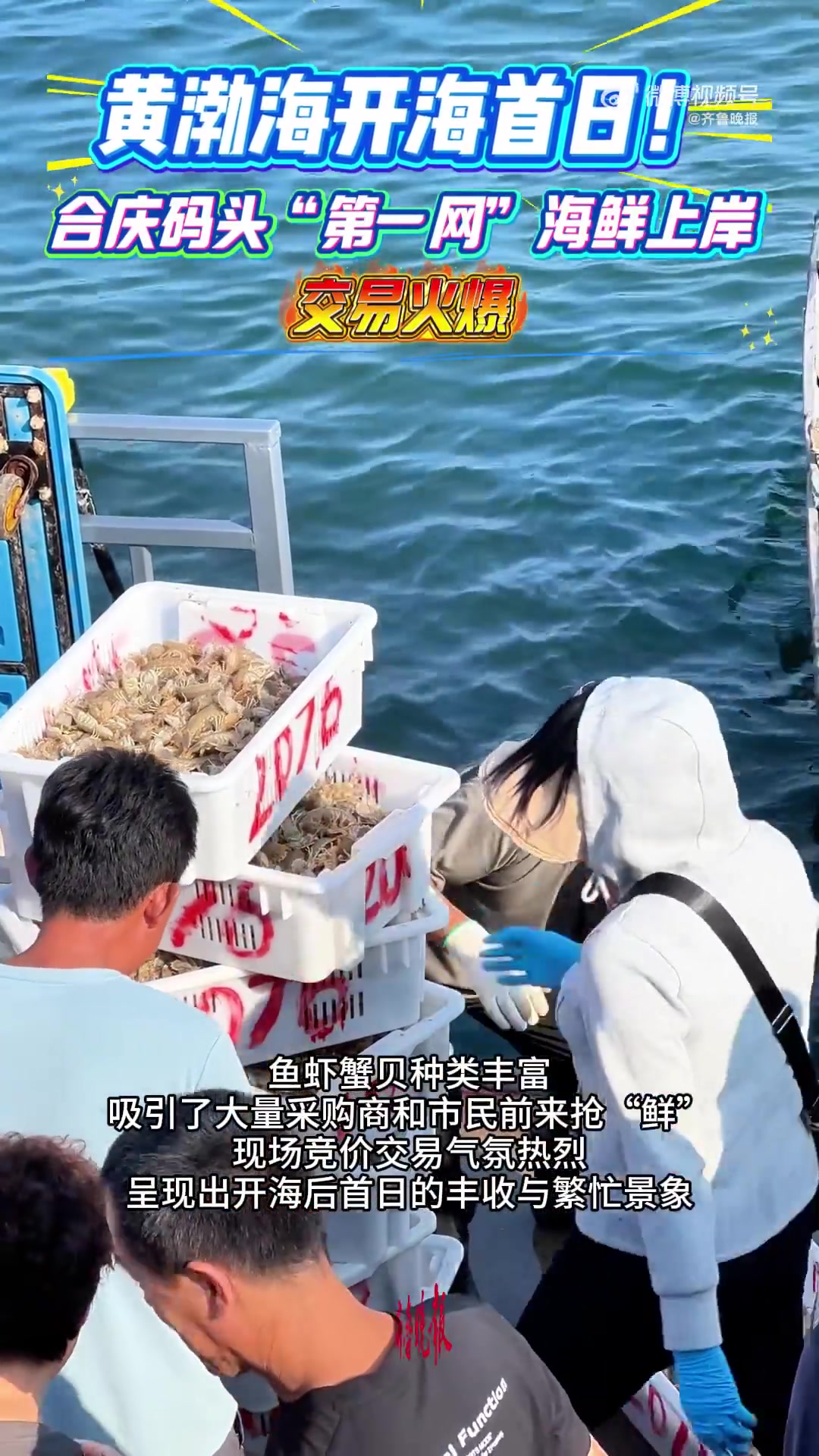 「黄渤海开海首日!威海码头“第一网”海鲜上岸,交易火爆」威海开海第一网海鲜上岸9月1日,为