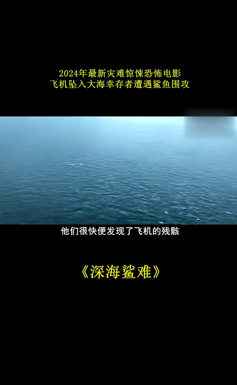 2024年最新灾难惊悚恐怖电影，飞机坠入大海幸存者遭遇鲨鱼围攻《深海鲨难》！