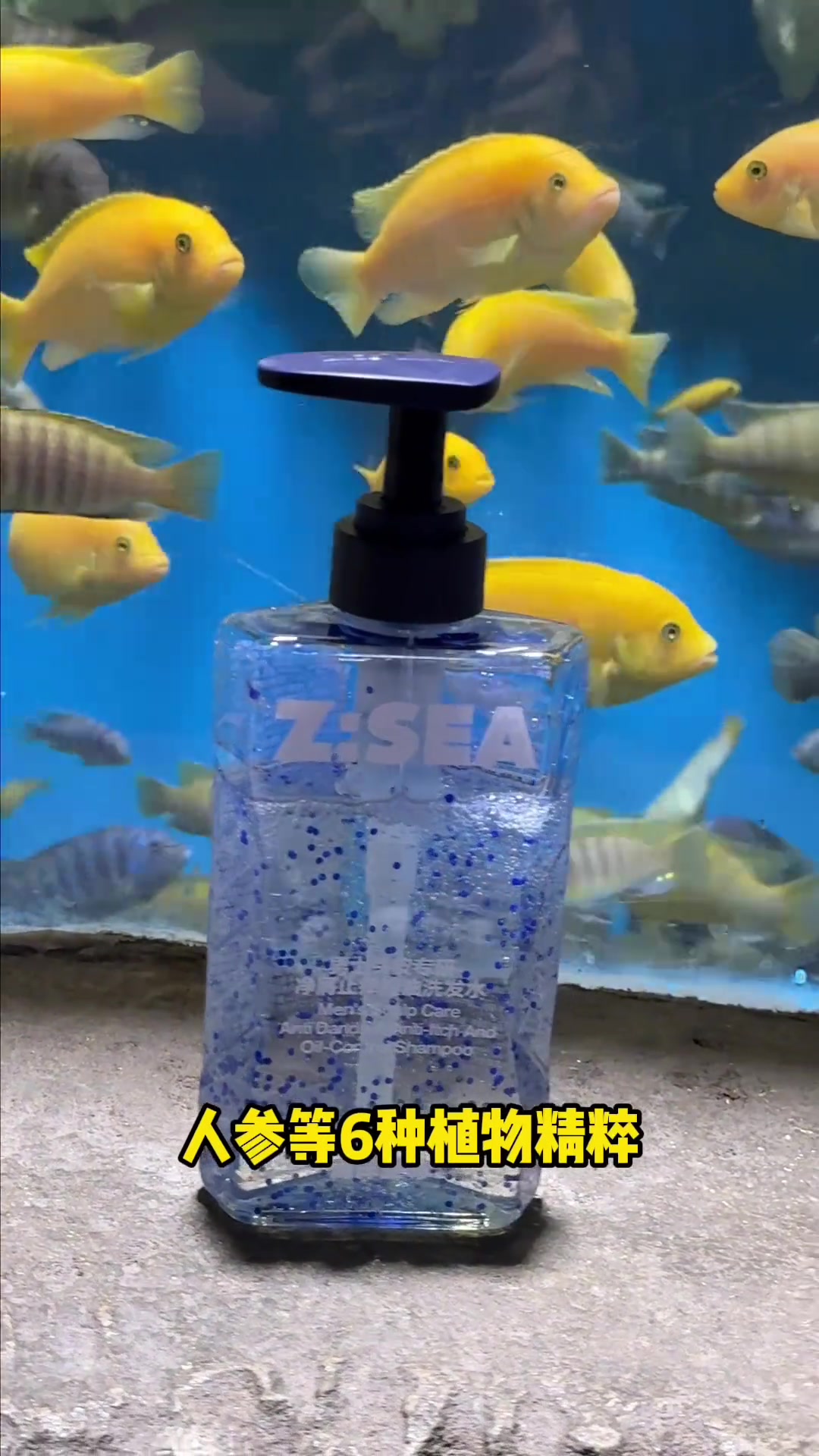 铁三女孩挑战当水族馆美人鱼？