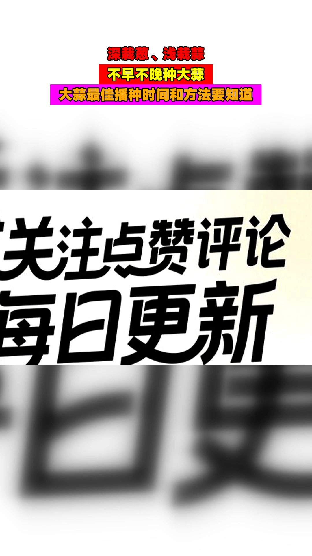 深栽葱、浅栽蒜,不早不晚种大蒜,大蒜最佳播种时间和方法要知道