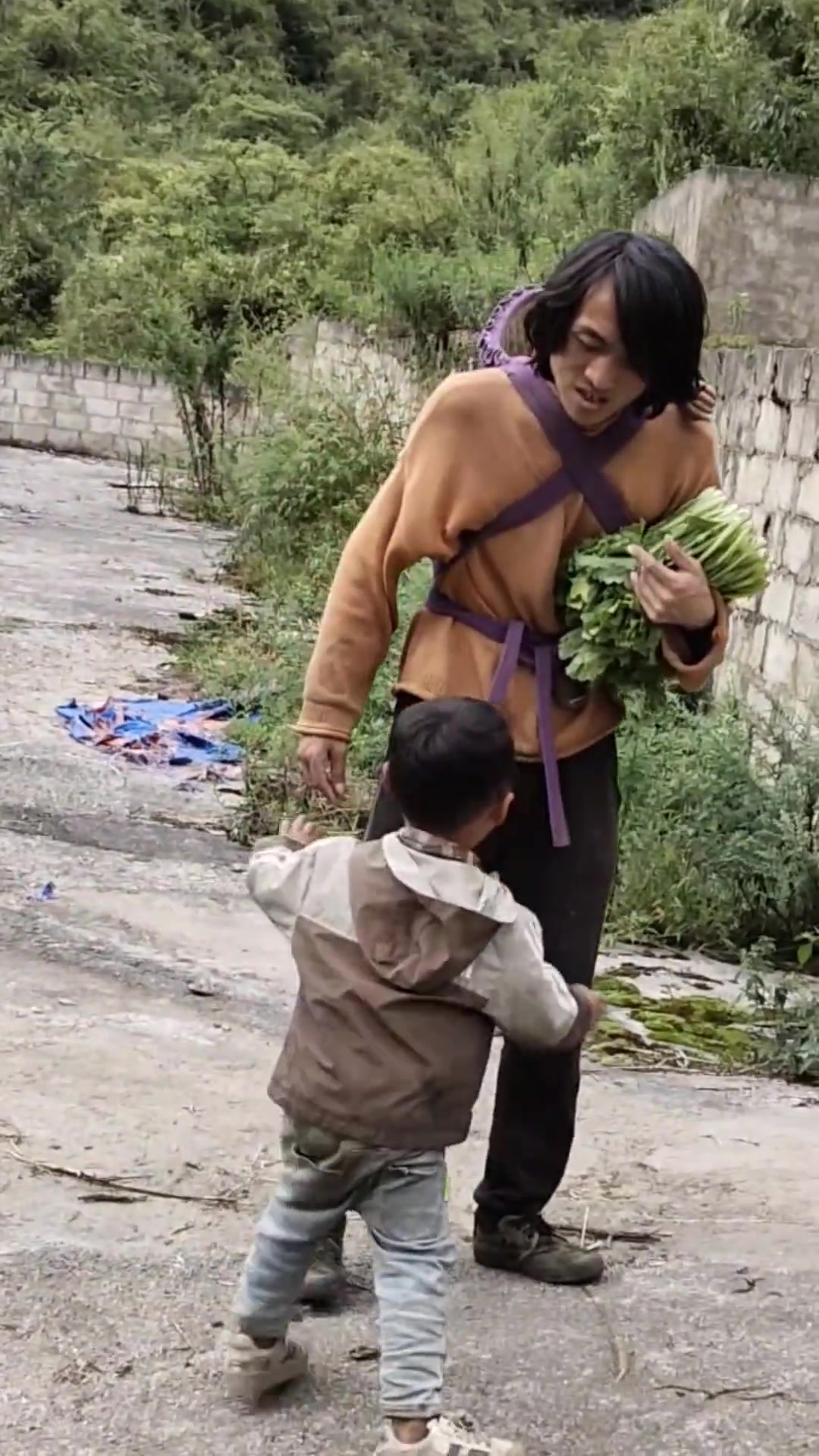 今日去地里踩点高杆小青菜,儿子途中哭闹要抱