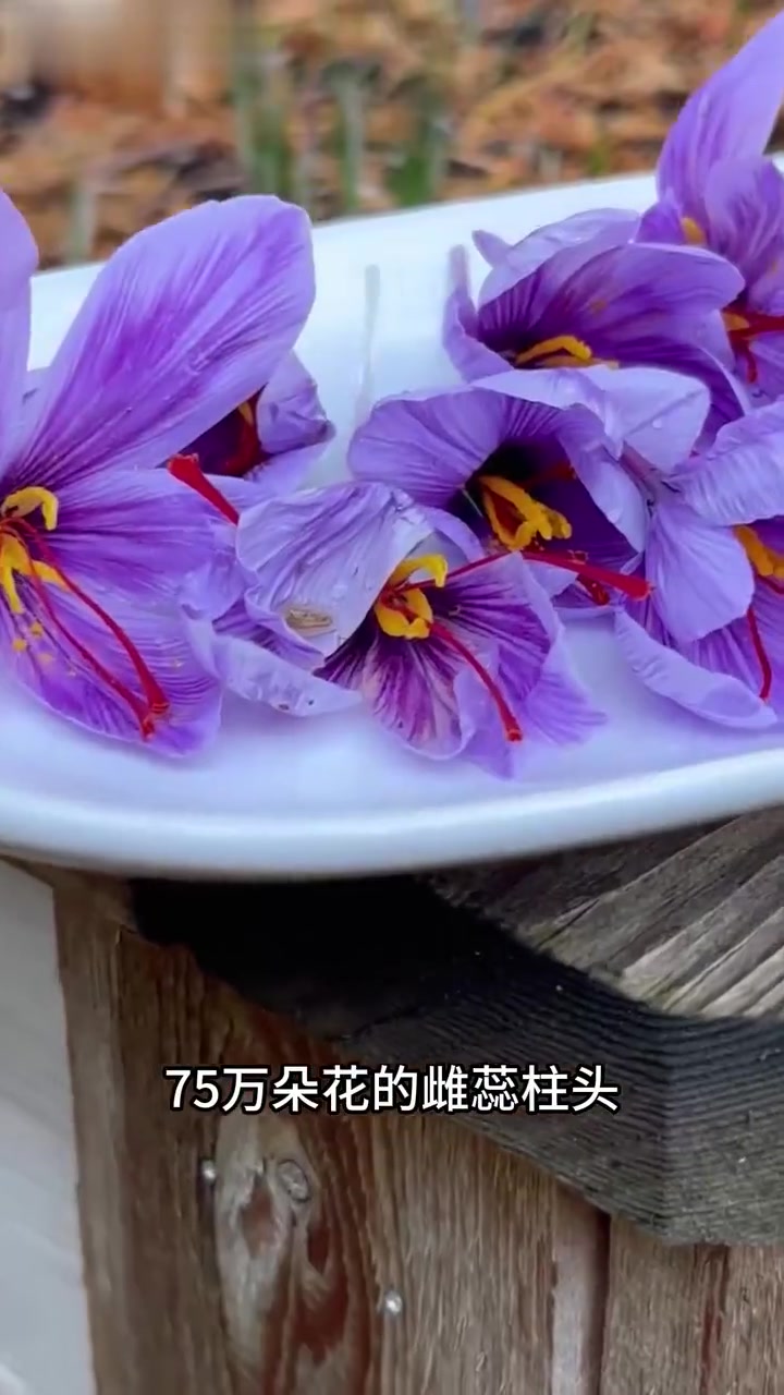 这些超贵食材，你认识几种？蓝鳍金枪鱼等了解下！