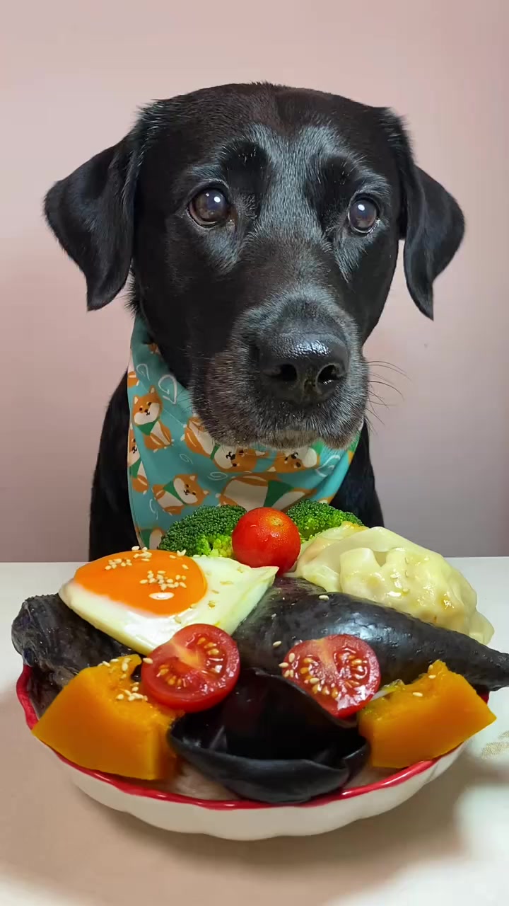 好久没吃乌鸡啦，今天是乌鸡汤面条