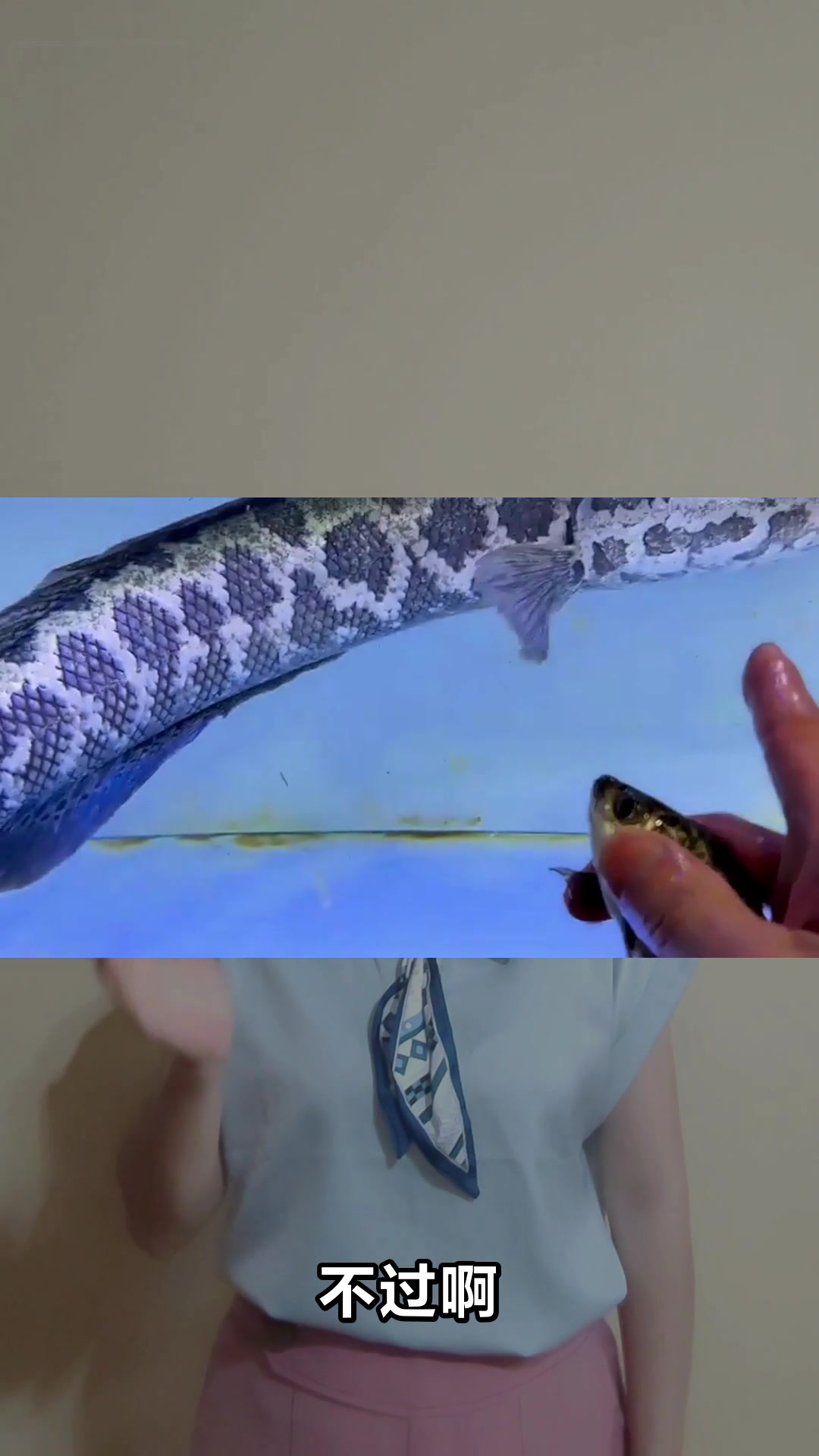 黑鱼的营养功效大揭秘