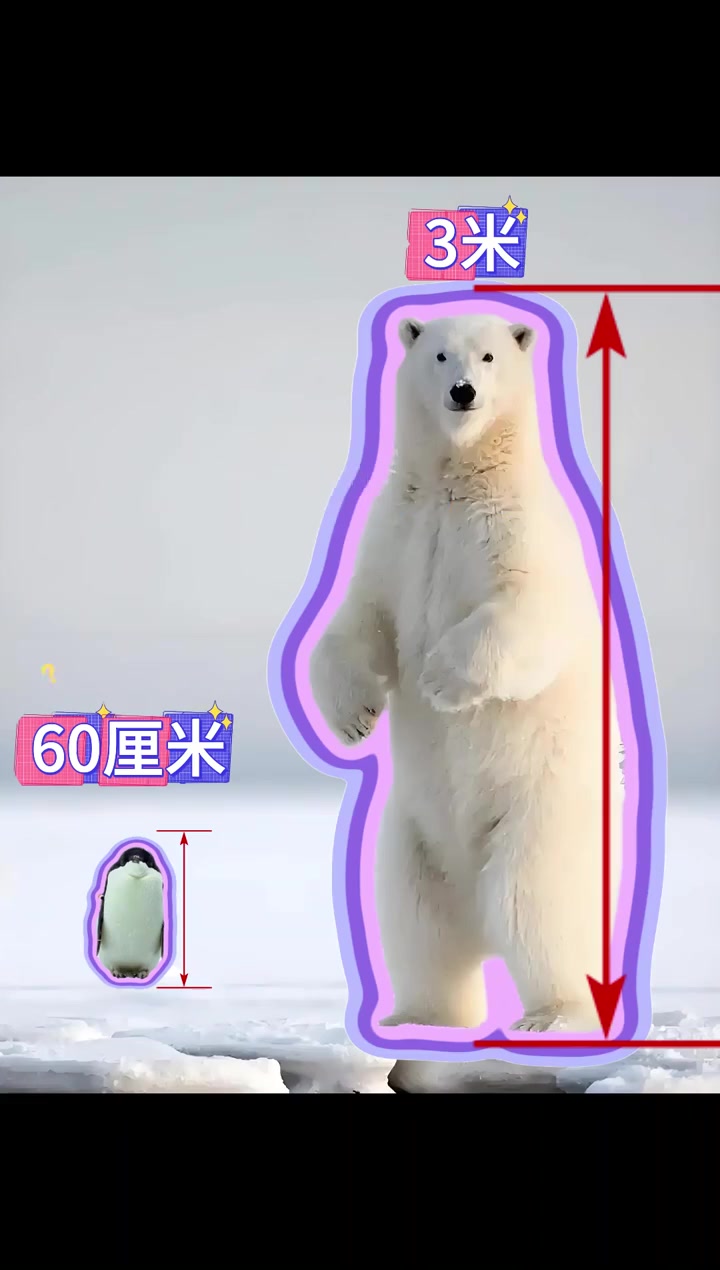 企鹅打得过北极熊吗