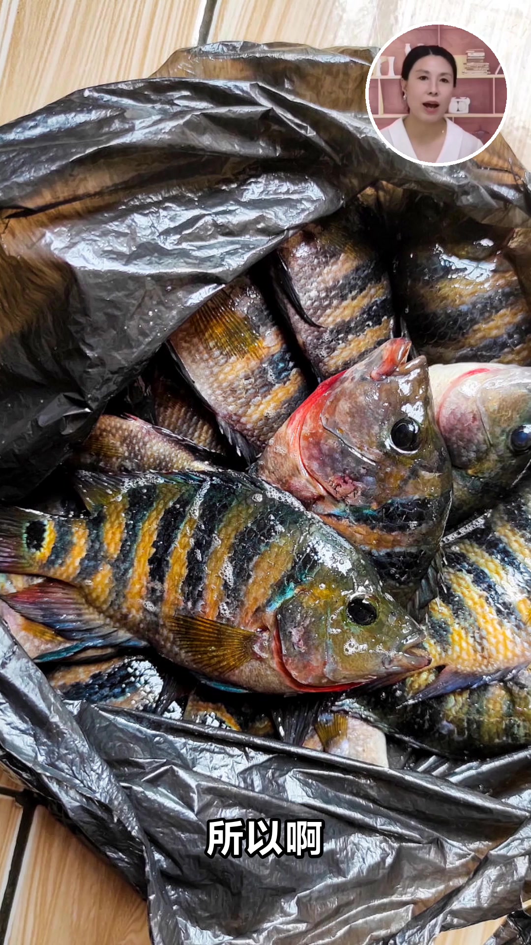 罗非鱼为什么不建议吃