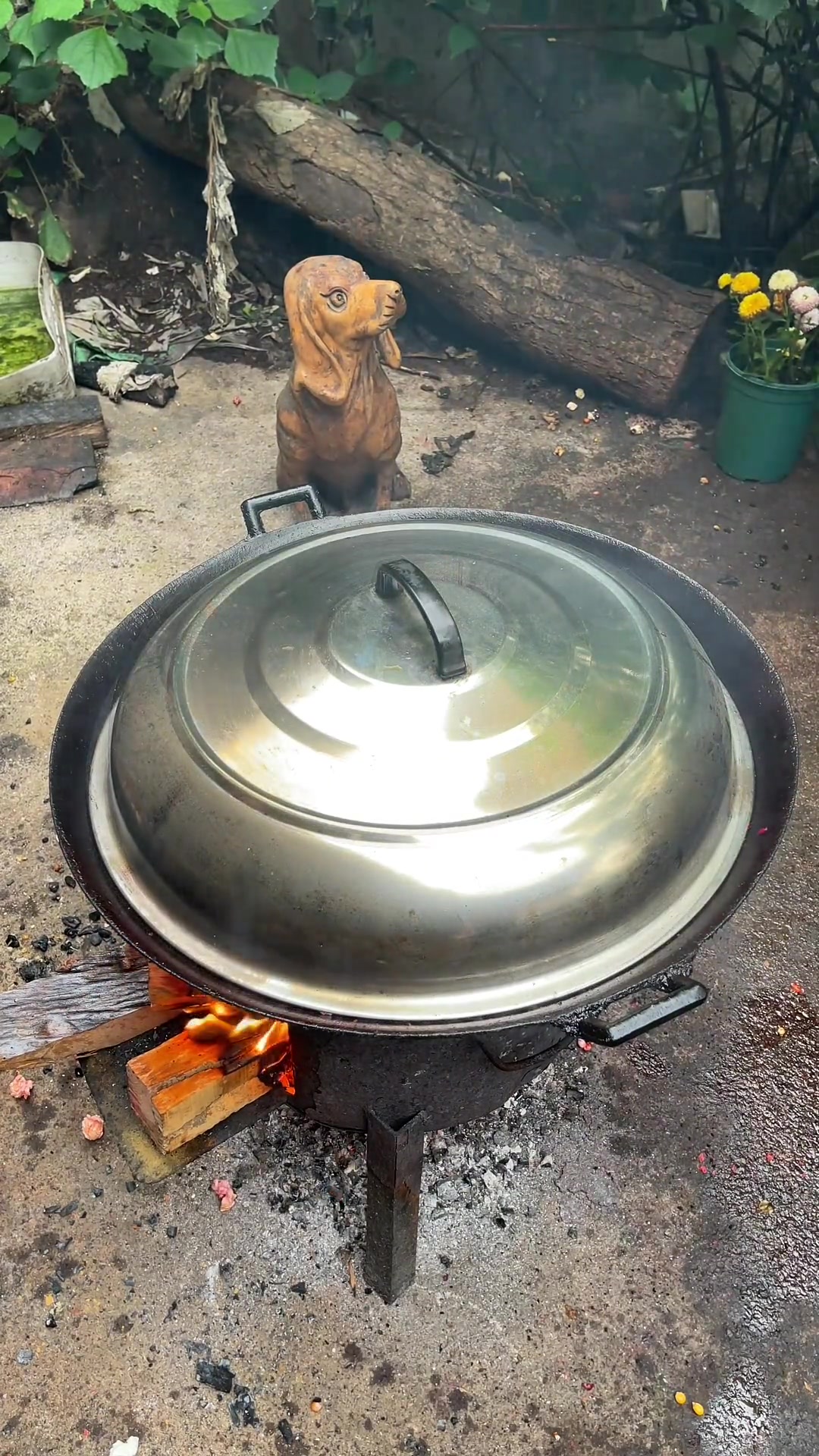 火龙果味爆米花,圆又好吃