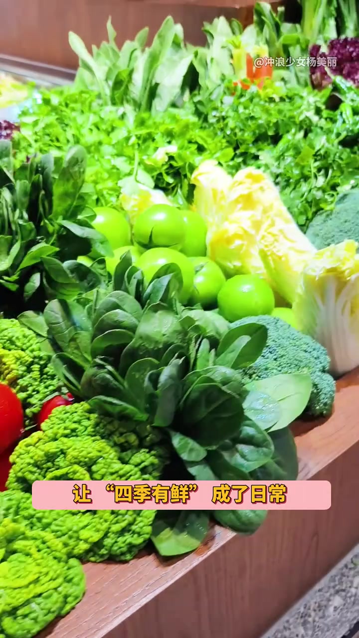 原来“吃菜自由” 并非全球常态 菜篮子工程 农业