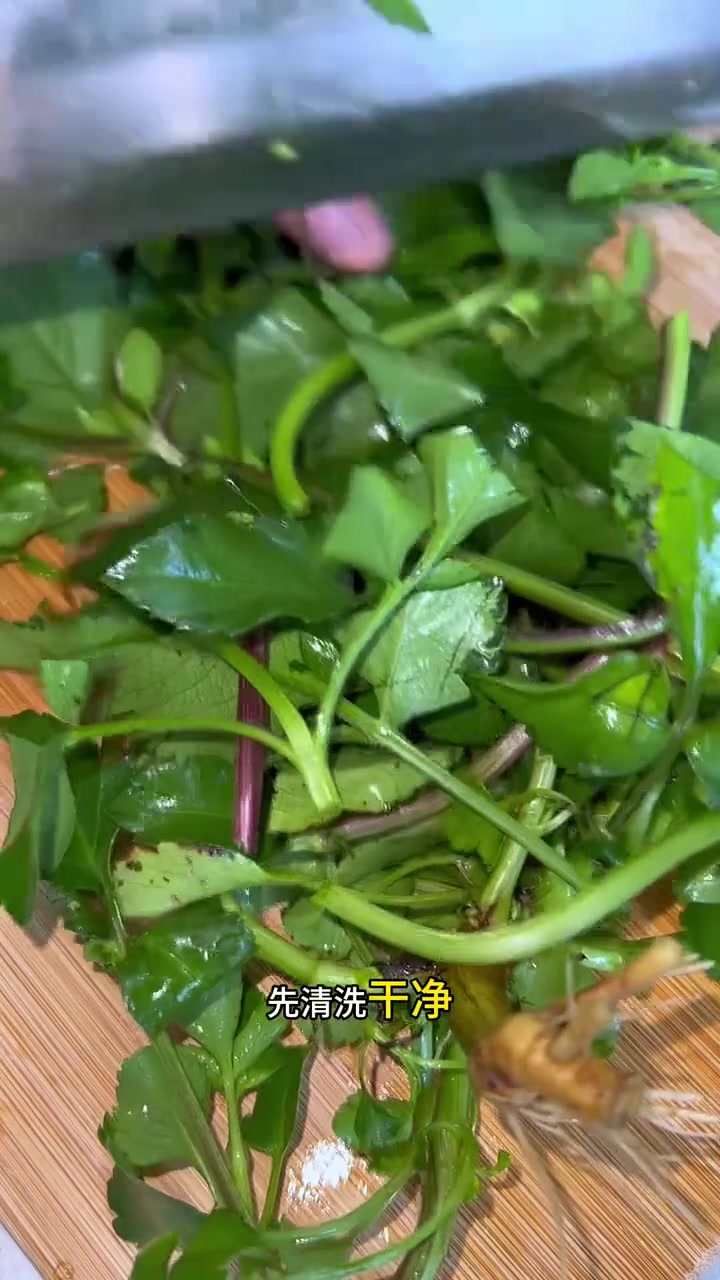 鬼针草，我们叫虾钳草