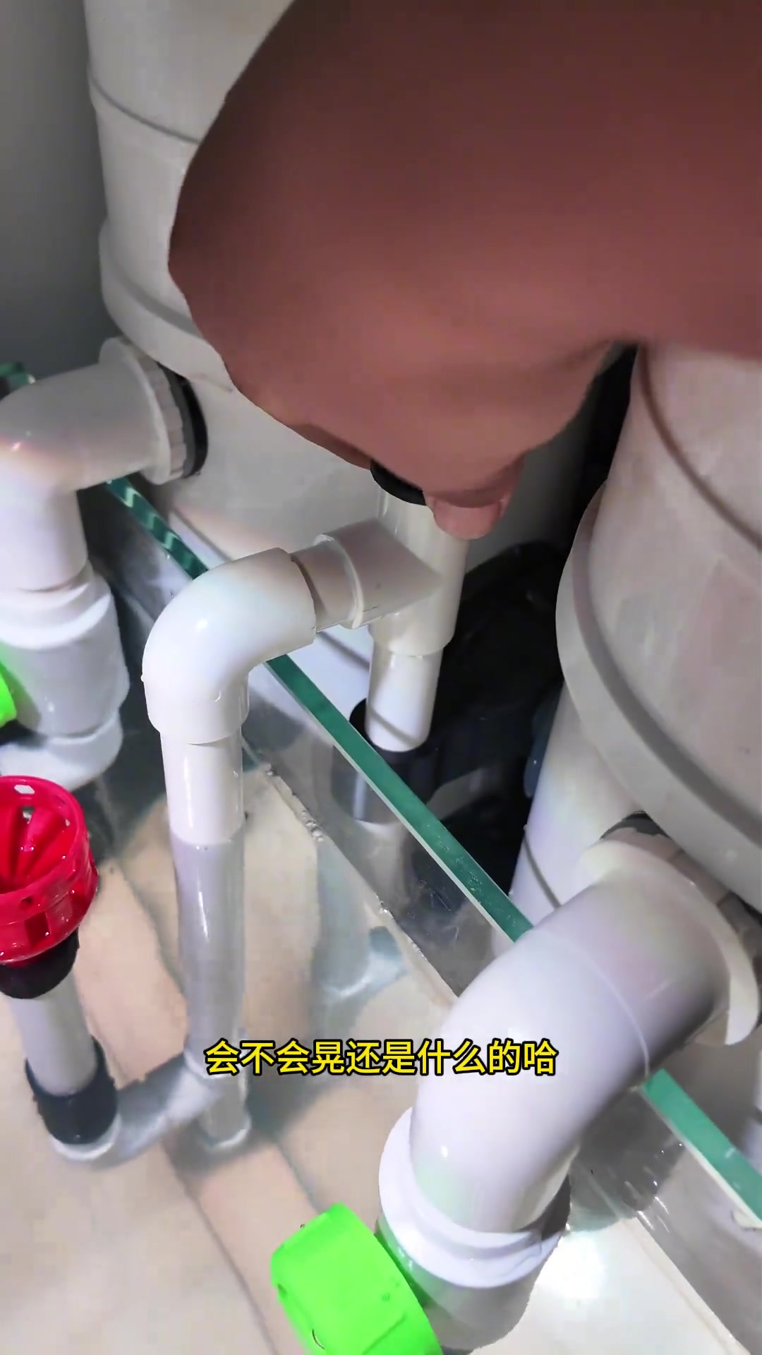 鱼缸侧过滤新形态！试水后出教程