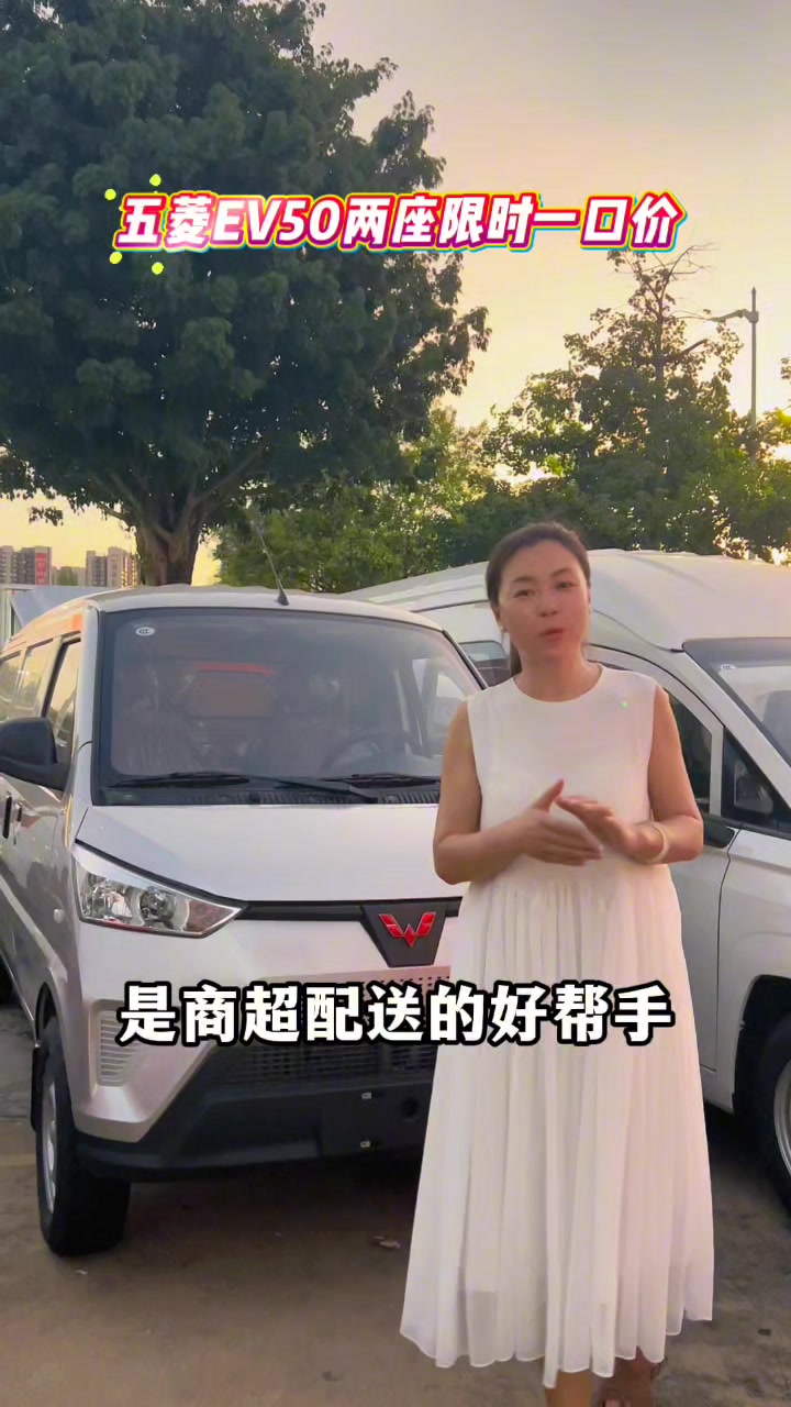 五菱纯电货运面包车