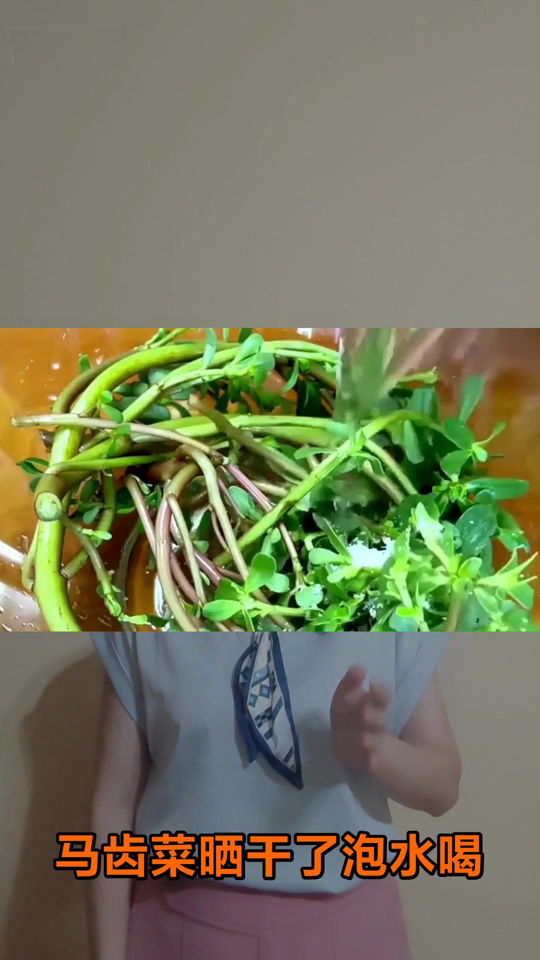 马齿菜的神奇功效你知道吗