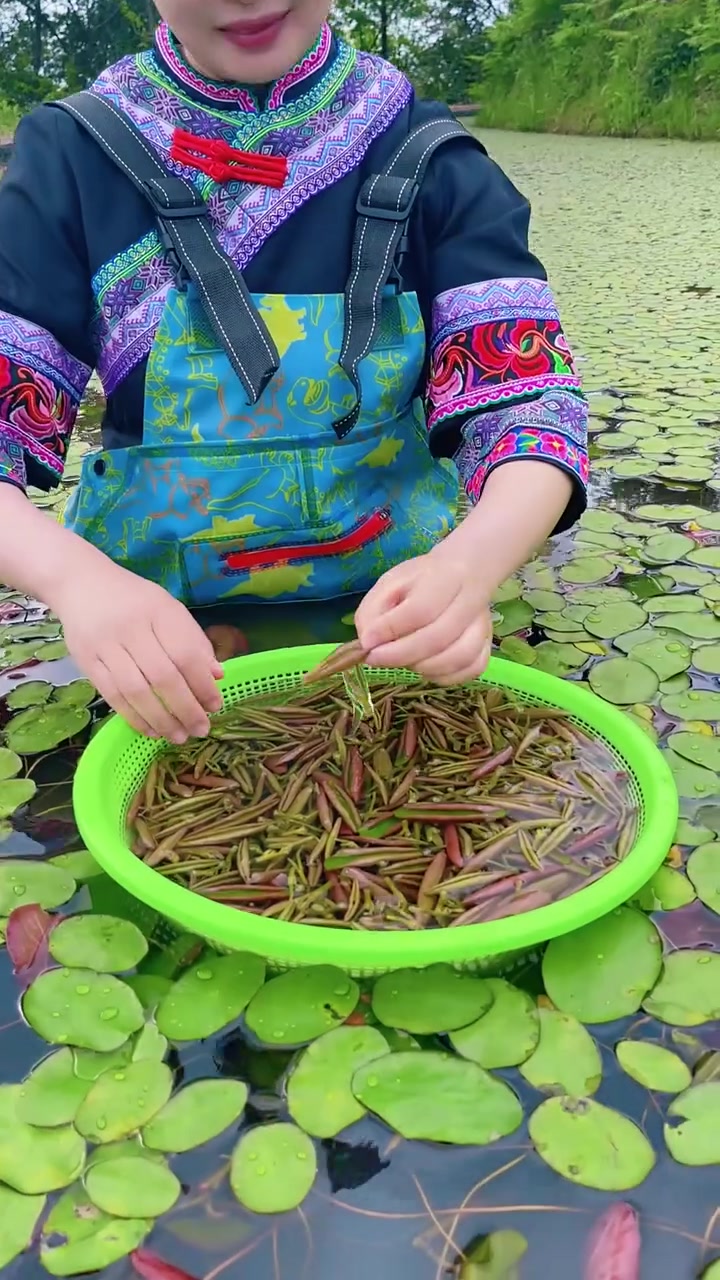 相传乾隆帝下江南,每到杭州都必以莼菜调羹进餐,并派人定期运回宫廷食用。它鲜嫩滑腻,用来调羹
