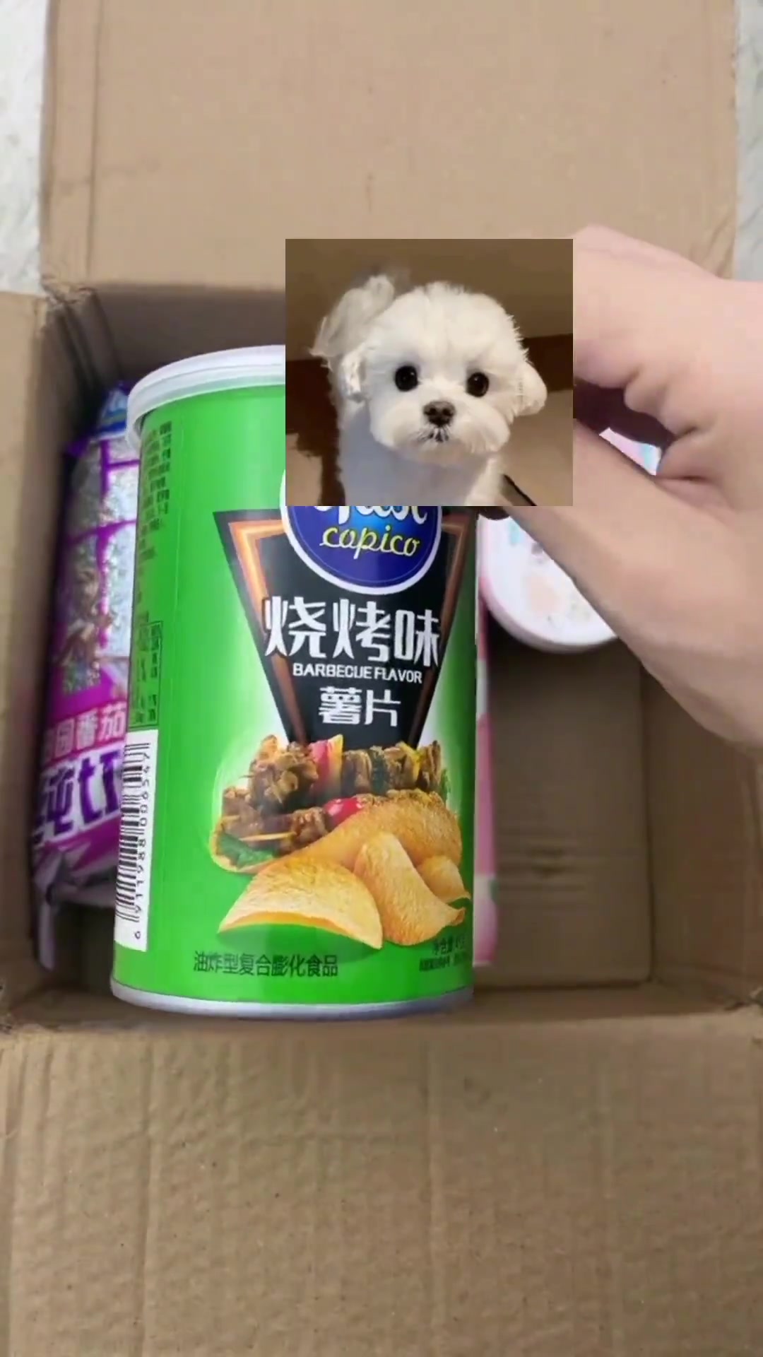 给宝贝安排一堆好吃的快来看都有啥