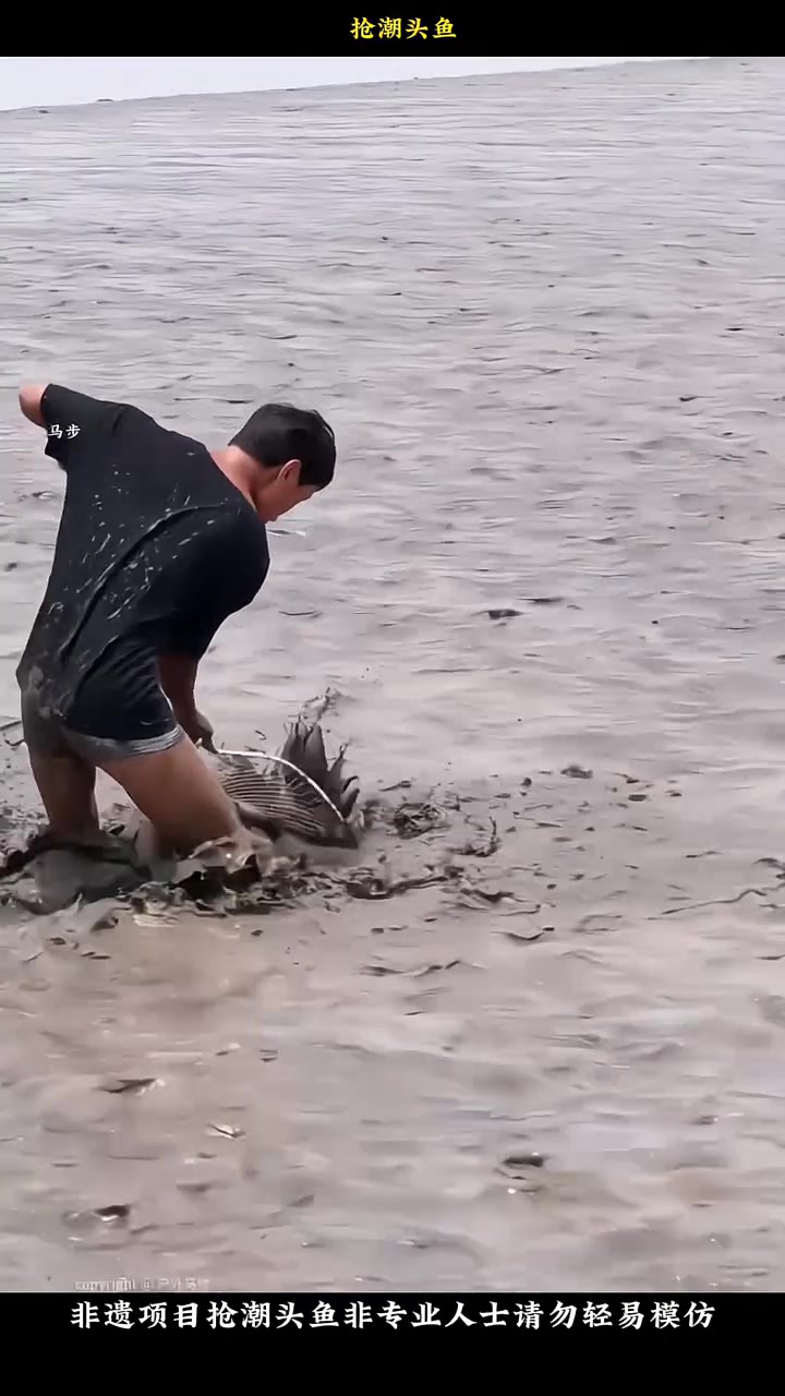 钱塘江抢潮头鱼