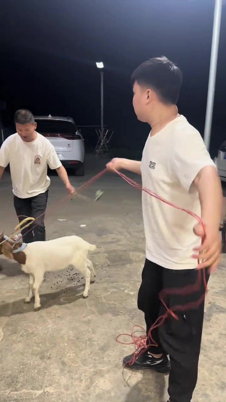 我真的把这羊子没办法了，今天晚上能不能睡好就看他们两个听不听话了，反正珍珠奶茶肯定会下很多