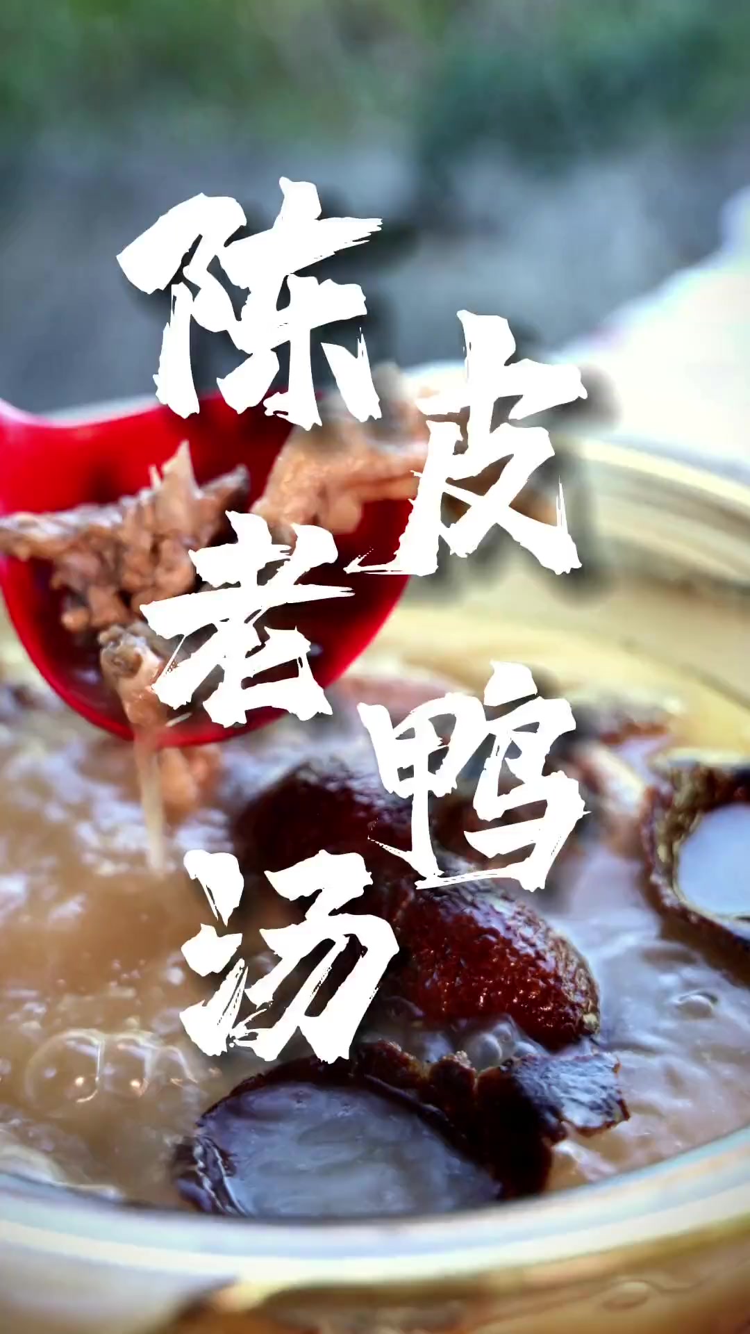 这么热的天,不知道煲什么汤?必须试试呢道经典粤菜:陈皮老鸭汤,清香甘甜、闰而唔燥!