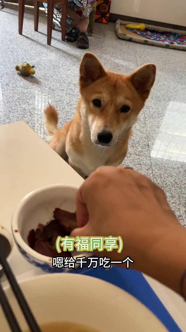 我吃牛肉也必须要沾醋的！