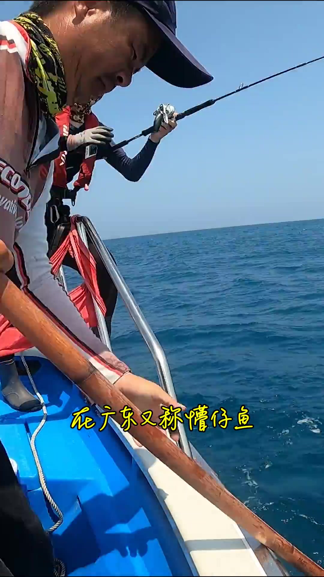 广东经济价值高的鱼：海鲡，军曹鱼，懵仔鱼