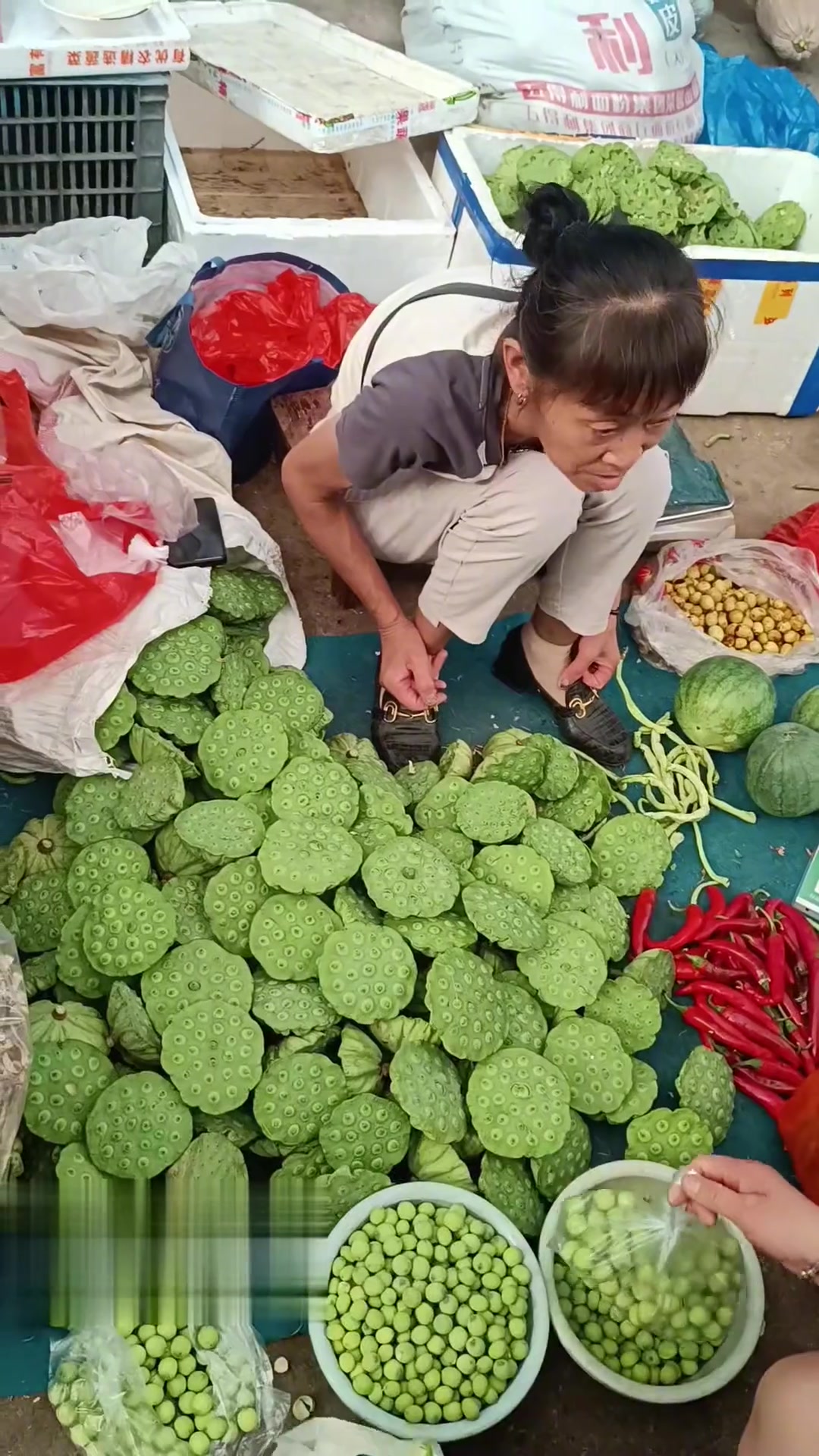 “莲”里里外外都是宝