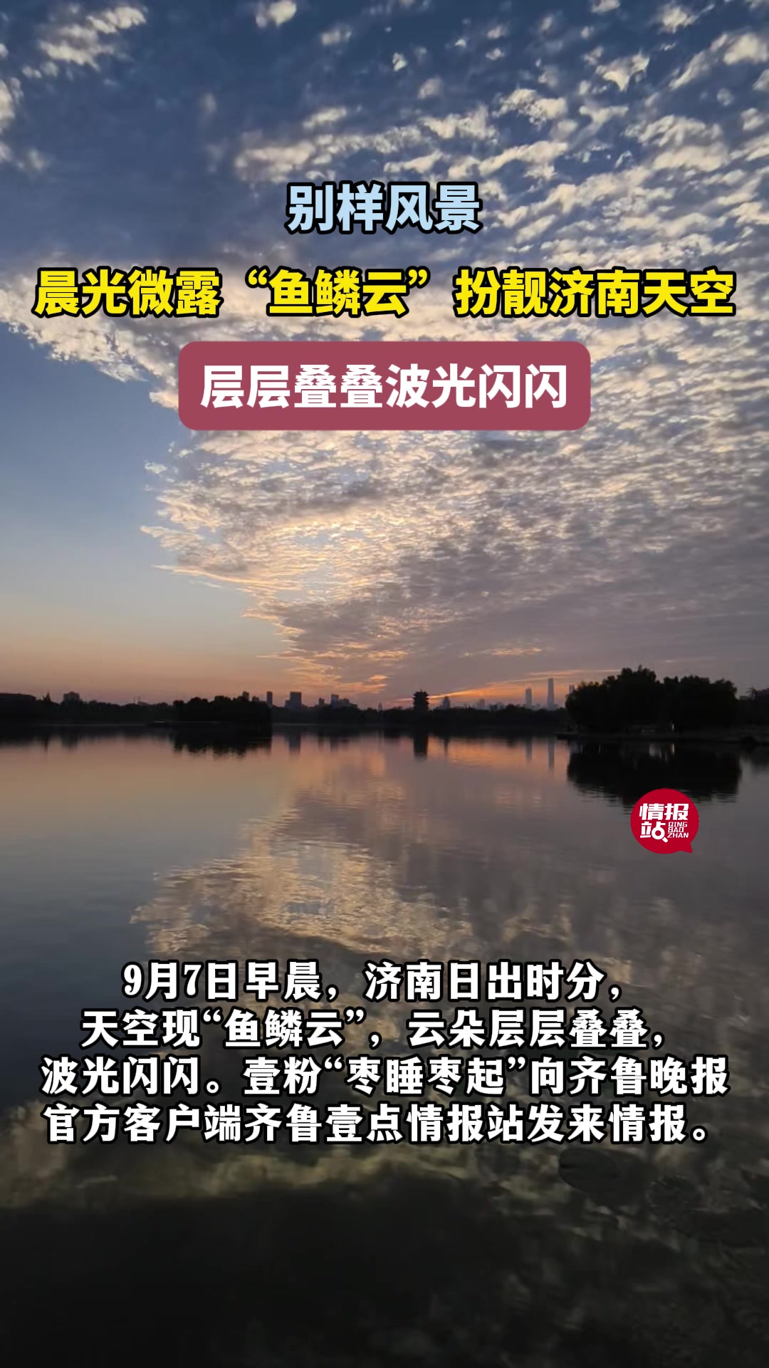 天气情报站|晨光微露“鱼鳞云”扮靓济南天空,层层叠叠波光闪闪