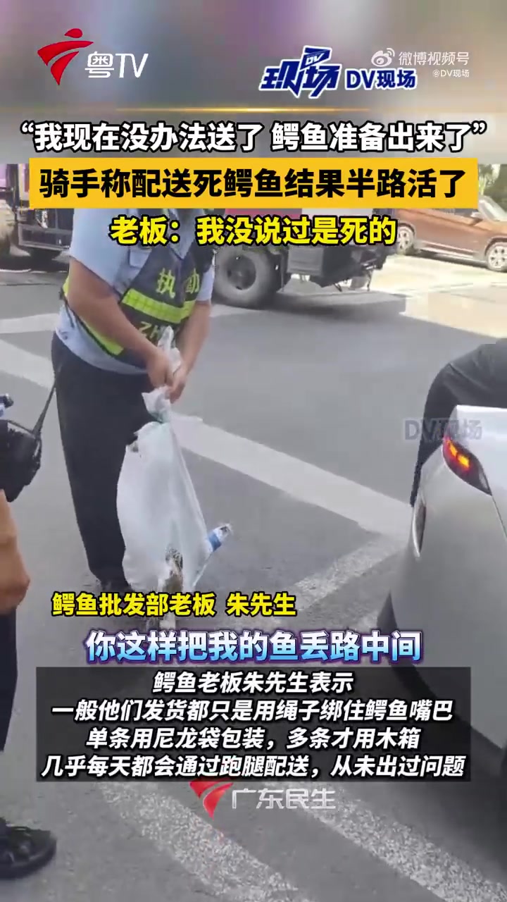 骑手称配送死鳄鱼结果半路活了,老板:我没说过是死的