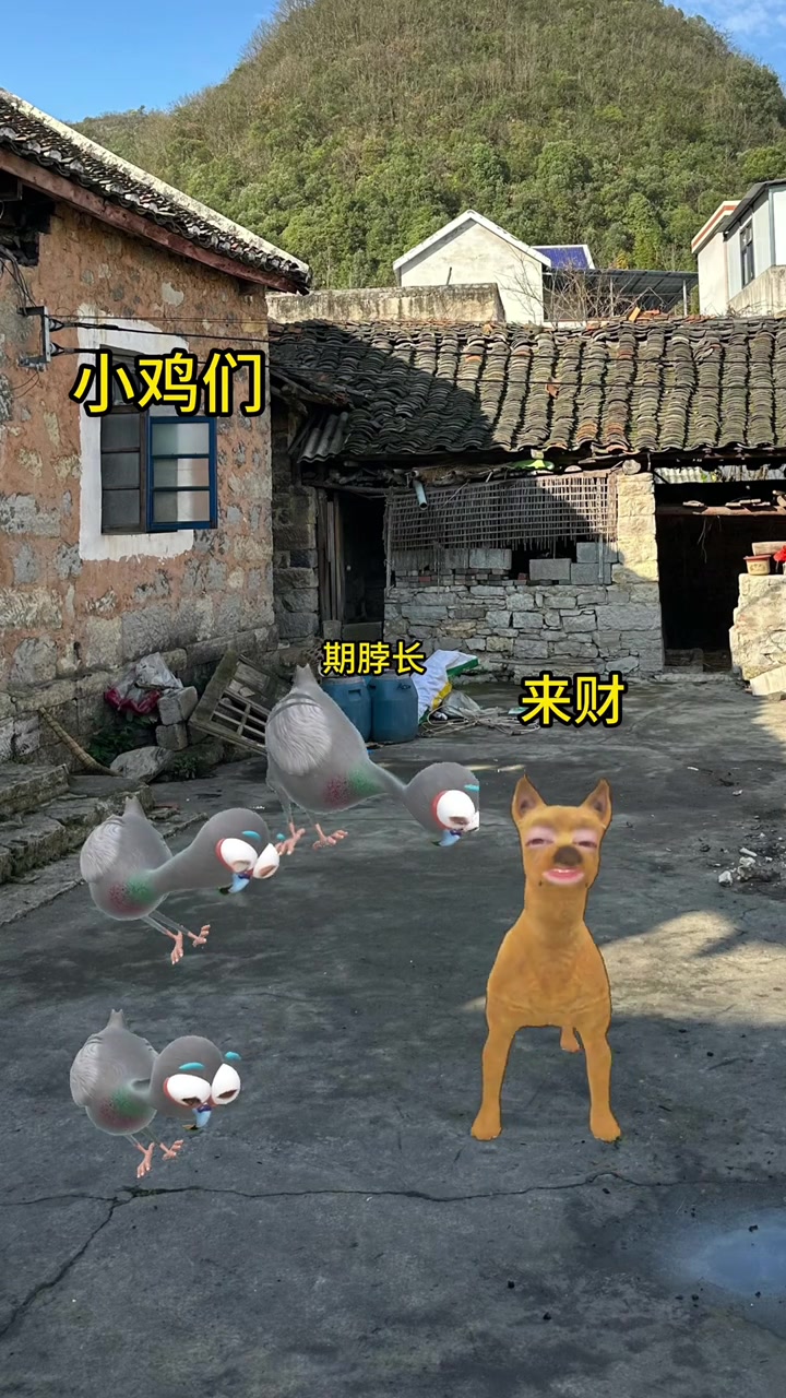 当来财听到我要吃白切鸡