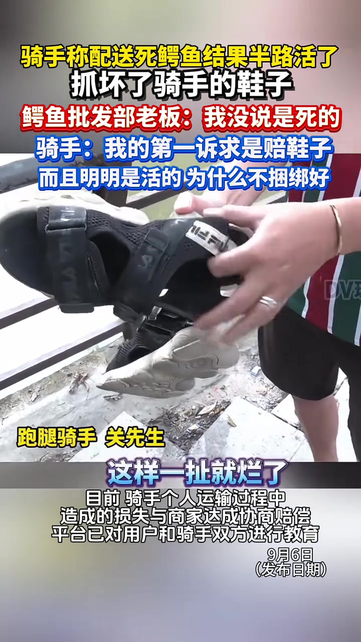 “我现在没办法送了,鳄鱼准备出来了” 骑手称配送死鳄鱼结果半路活了 老板:我没说过是死的。