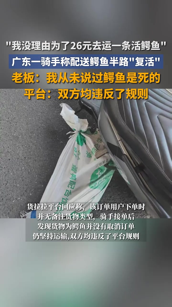广东一骑手称配送鳄鱼半路“复活”,老板:我没说过是死的,平台回应