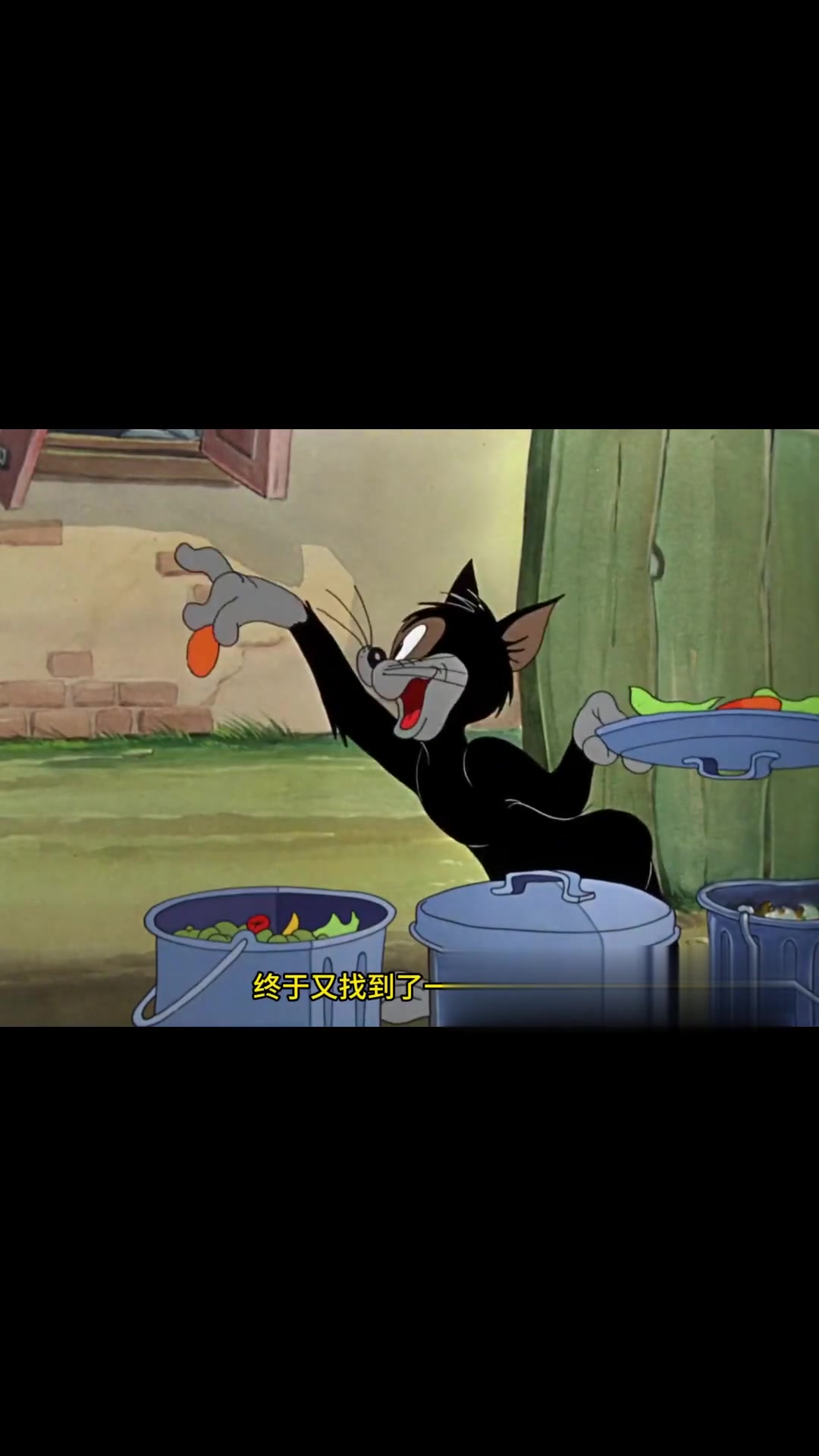 二狗使坏，汤姆被吓，杰瑞与汤姆争抢肉排趣事