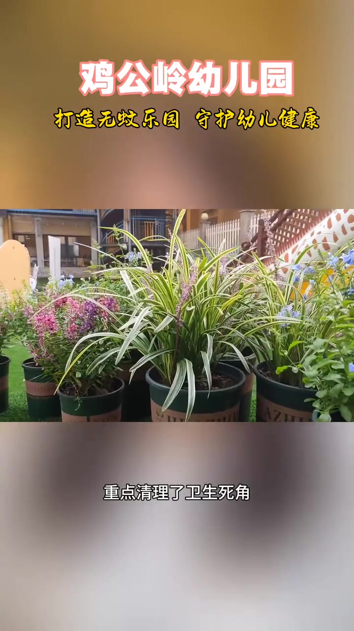 鸡公岭幼儿园:打造无蚊乐园,守护幼儿健康