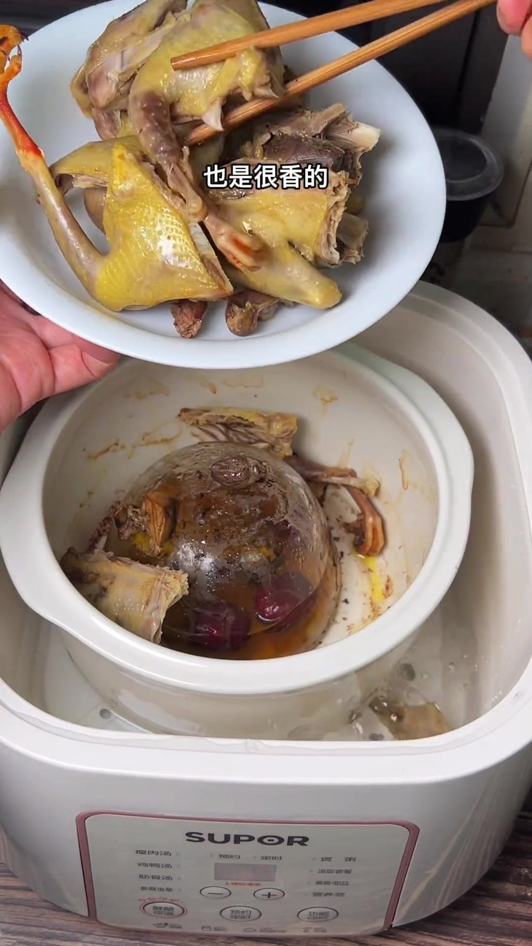 女人的爱鸽子溢汁经典汤,每一滴都是原汁原味