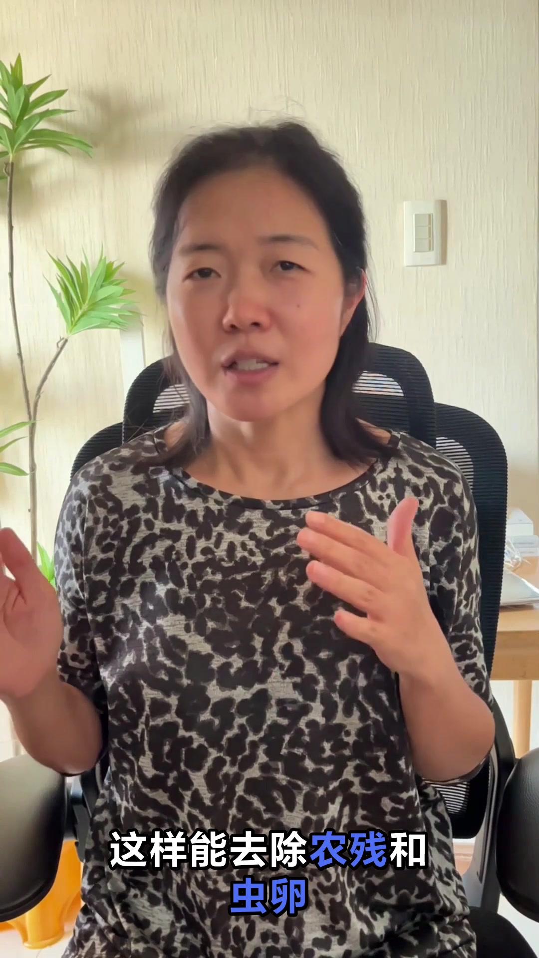 包菜能生吃吗这样吃更健康