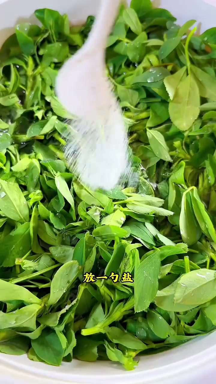 苜蓿菜豆腐包子太好吃啦,比肉的都香