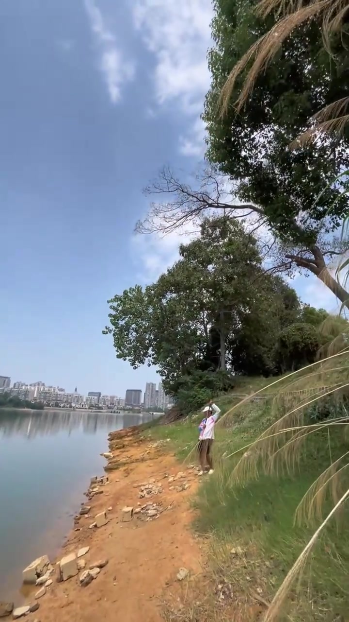 野钓如何高效钓草鱼，掌握窗口期让你事半功倍！