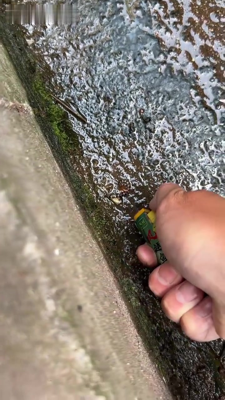 地上好多虫成群爬我用打火机踩灭还闻香